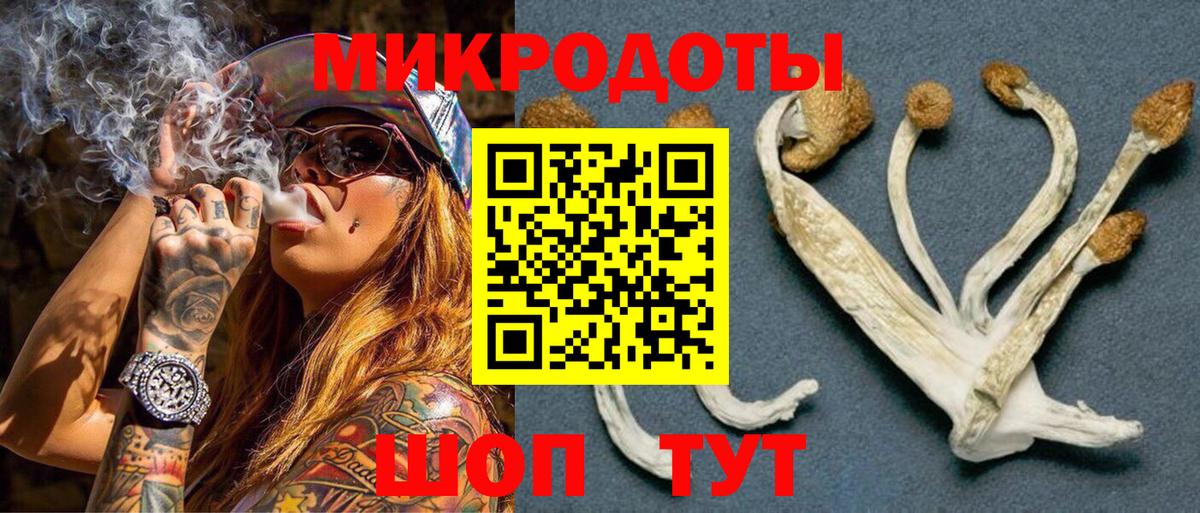 Шелехов  Галлюциногенные грибы Cubensis  Вход с VPN 